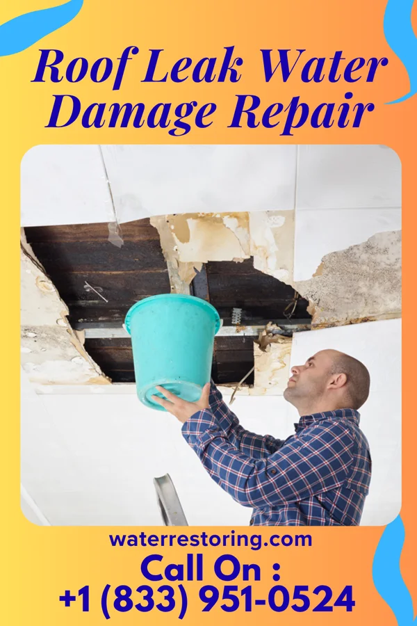 Roof Leak Water Damage Repair in La Porte, TX